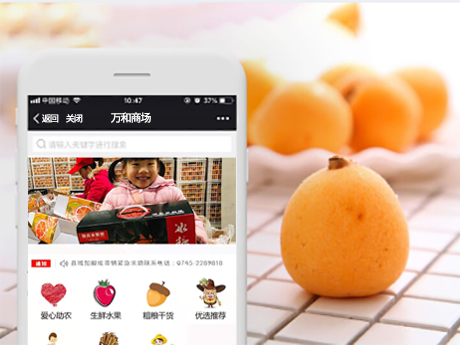 （農(nóng)產(chǎn)品）淘農(nóng)村